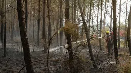 "Ça fait plaisir de rentrer à la maison" : dans les Landes, certains habitants évacués à cause de l'incendie peuvent rentrer