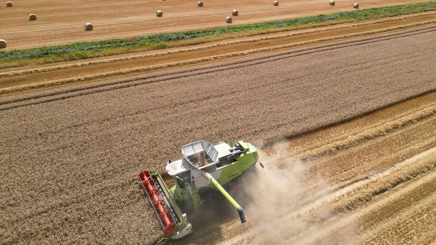 Landwirtschaft: Deutsche Bauern fahren wegen Hitze deutlich weniger Ernte ein