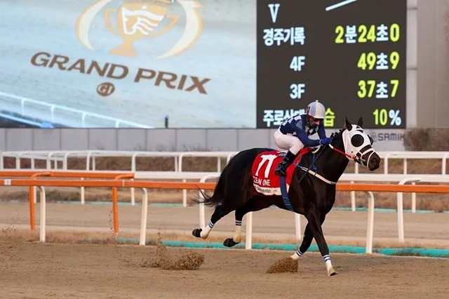 ‘코리아 컵’ 韓승마 첫 G2 등급 승격…6일 렛츠런 파크 서울서 개막