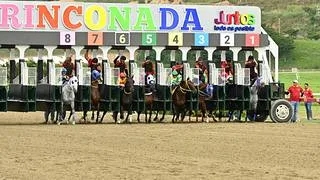 Datos y favoritos: Conoce los ejemplares con más fuerza y la jugada larga para la R41