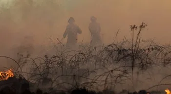 Incêndio em Vila Nova de Poiares chegou a aldeia de Sabouga