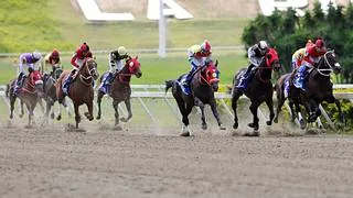 La Rinconada: Favoritos de la cátedra para el ciclo no válido de la reunión N°37 a correrse el domingo 20-9-2026