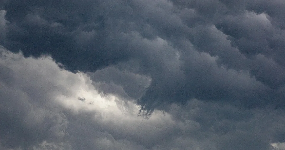 Clima hoy en Tacuarembó, Uruguay: el pronóstico del tiempo para este domingo 23 agosto de 2026