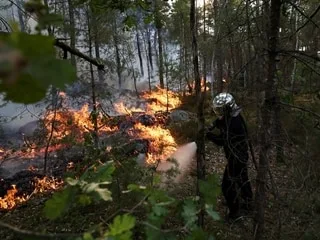 Les autorités déclarent que le feu est officiellement éteint en forêt de Fontainebleau