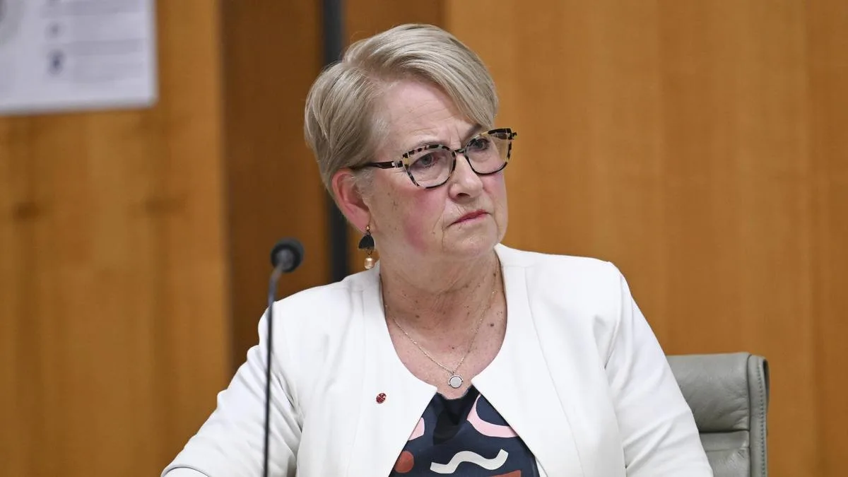 Greens Senator Barbara Pocock will not seek preselection in 2028