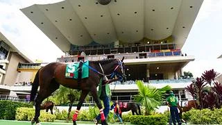 Este es el cuadro sugerido del 5y6 del domingo 11-10-2026 en La Rinconada
