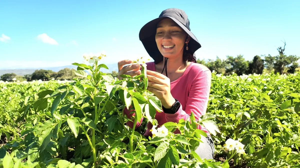 Del campo al mercado: Más de 4,700 mujeres rurales mueven la economía en República Dominicana