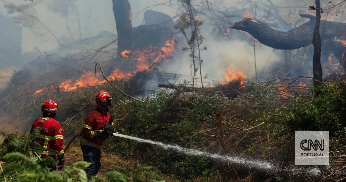Bombeiros feridos em incêndio em Arouca com evolução favorável