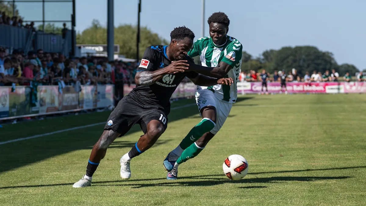 Kurz vor Transferschluss - Dynamo angelt sich diesen Bundesliga-Profi