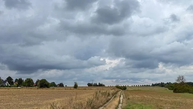Wetter-Vorhersage: Blitz und Donner - Gewitter bringen Unwettergefahr