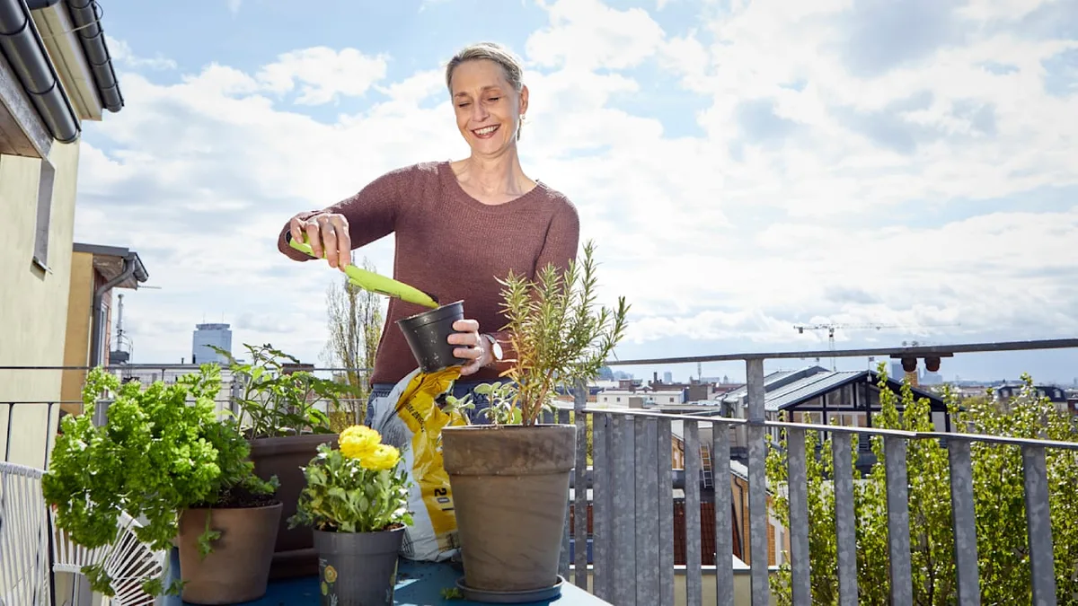 Amaranth, Quinoa & Co. - So pflanzen Sie Ihr eigenes Superfood an