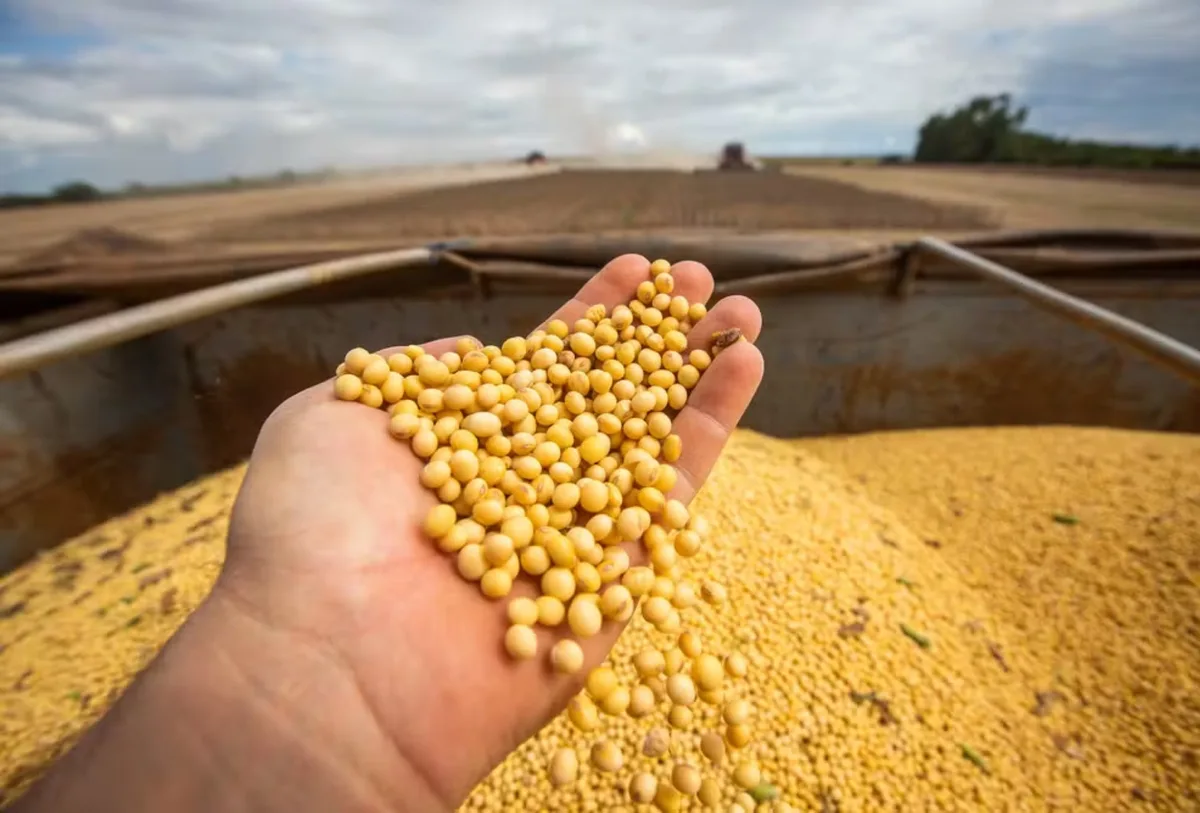 PIB desacelera, mas cresce 0,5% no 2º trimestre, puxado pela agropecuária, diz IBGE
