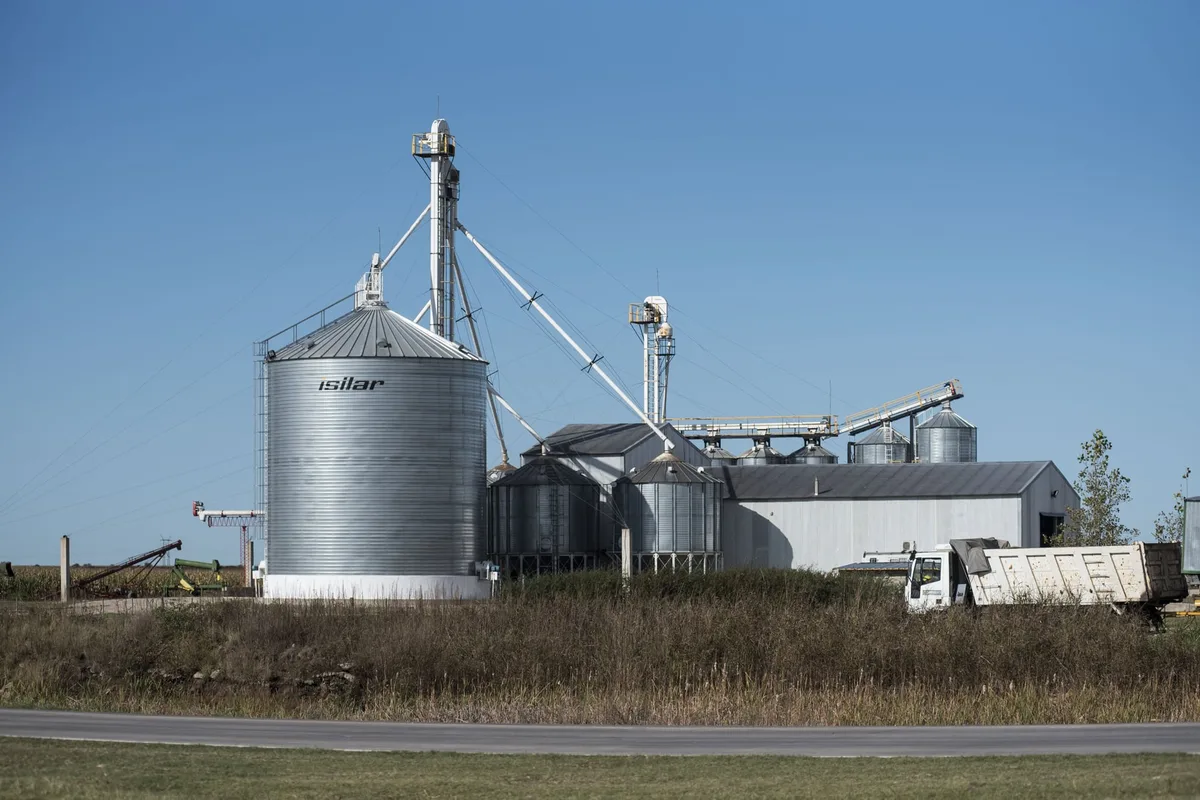 El costo de producir granos en la Argentina se acerca al de sus competidores