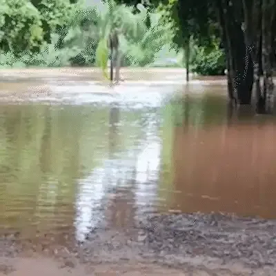 Rio Apa transborda em Bela Vista e força retirada de moradores de áreas de risco