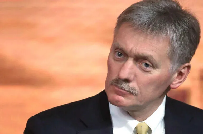 Песков сообщил, что проголосовал на выборах в Госдуму онлайн