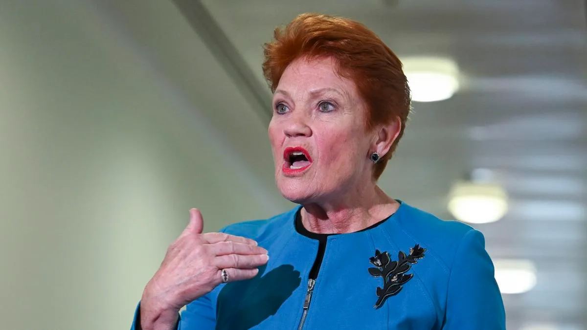 Pauline Hanson demands Michelle Rowland apology over One Nation extremist claims and violence threats