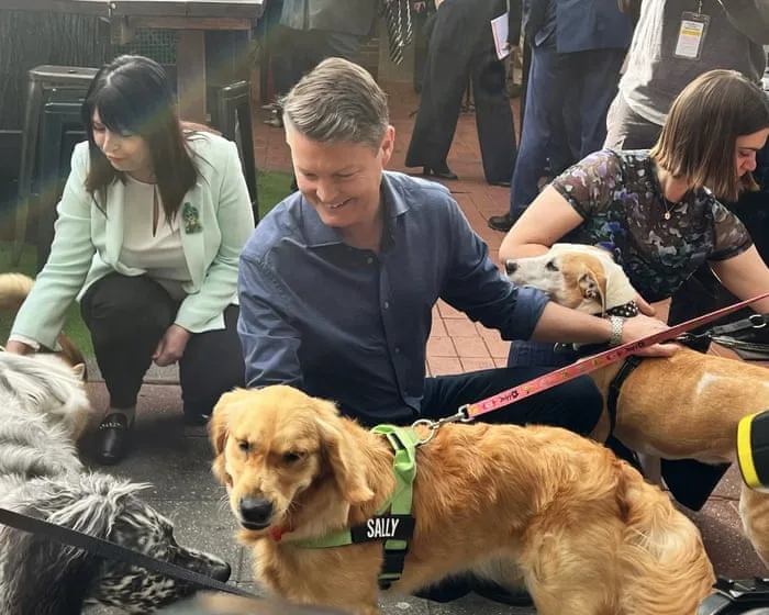 Paws, pints and 3am pubs in Victorian premier's election promise – video