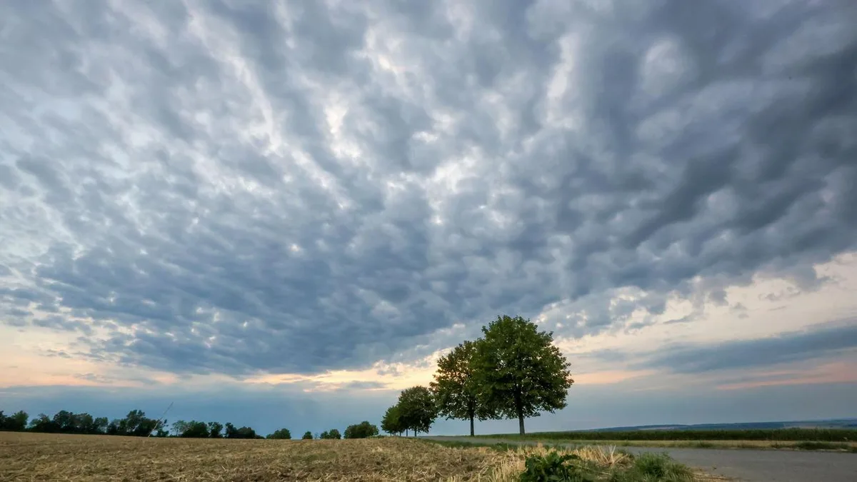 Wetter: Kühleres Wetter in Sicht - Was die neue Woche bringt