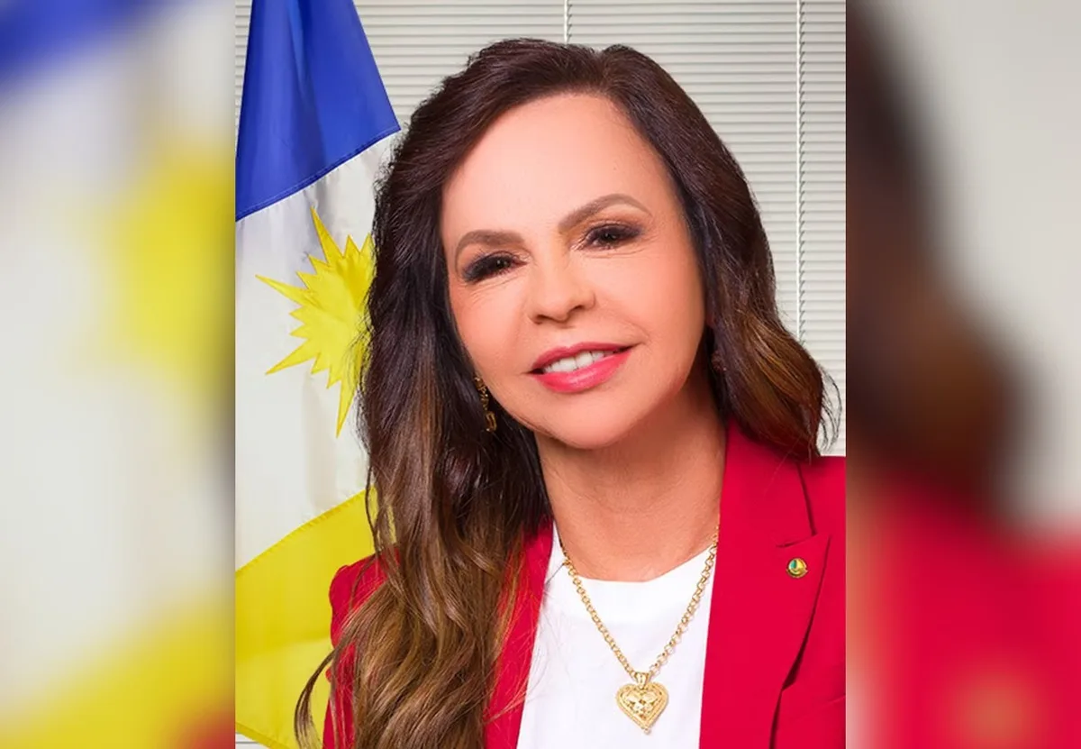 Plano de governo: Professora Dorinha propõe aproveitar recursos do TO para buscar desenvolvimento equilibrado