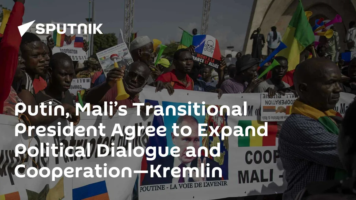 Putin, Mali’s Transitional President Agree to Expand Political Dialogue and Cooperation—Kremlin