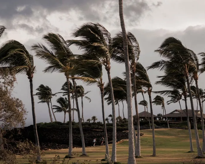 Hurricane Lala skirts Hawaii’s Big Island as heavy wind and rain lash region