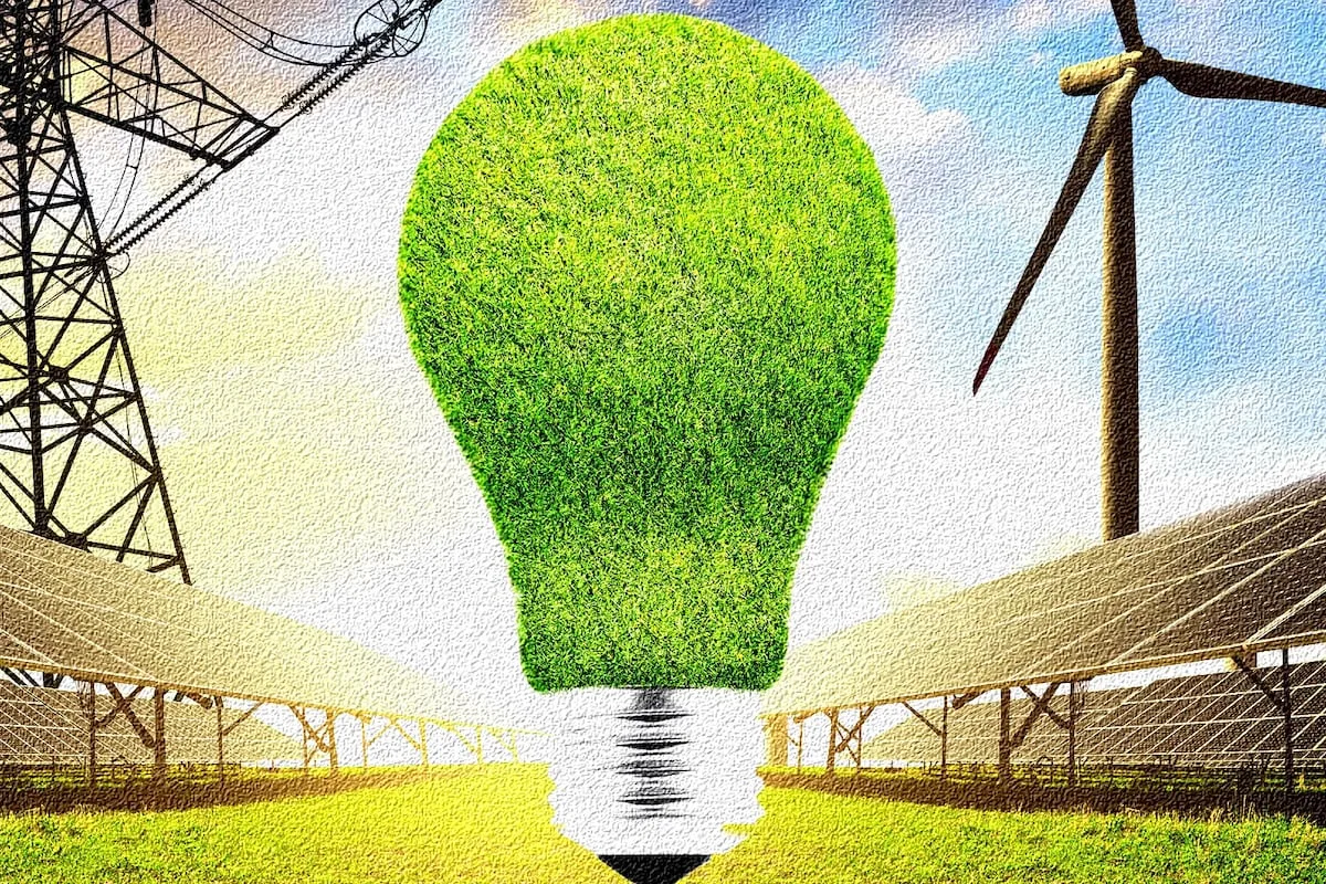 Carbon credits germinating into a lucrative harvest for farmers