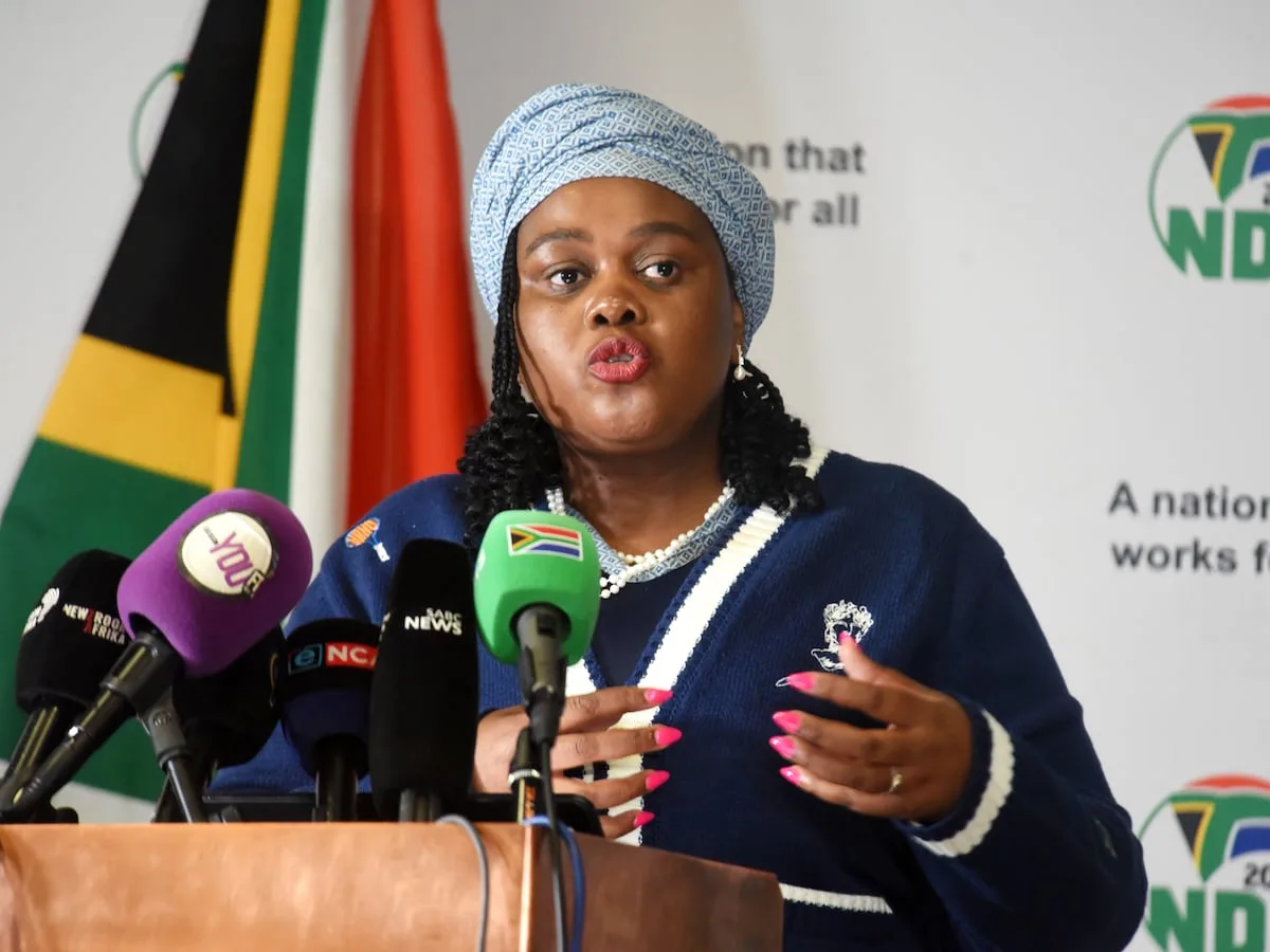Kubayi faces lawsuit over Pretoria high court jurisdiction