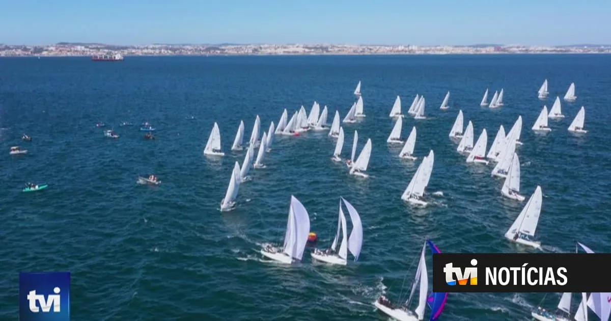 Reparou no maior número de barcos à vela na Marina de Cascais? Portugal acolheu o Campeonato do Mundo de Vela Classe J/70
