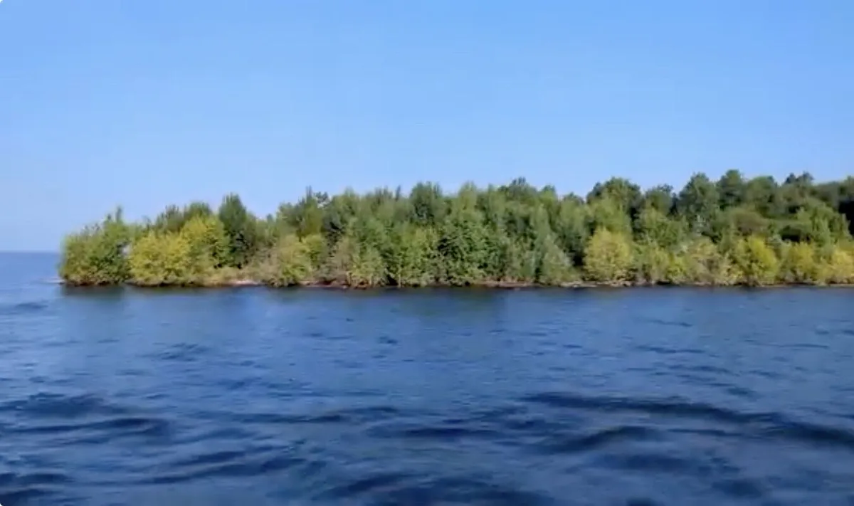 Uma ilha com árvores soltou-se e anda à deriva num lago canadiano