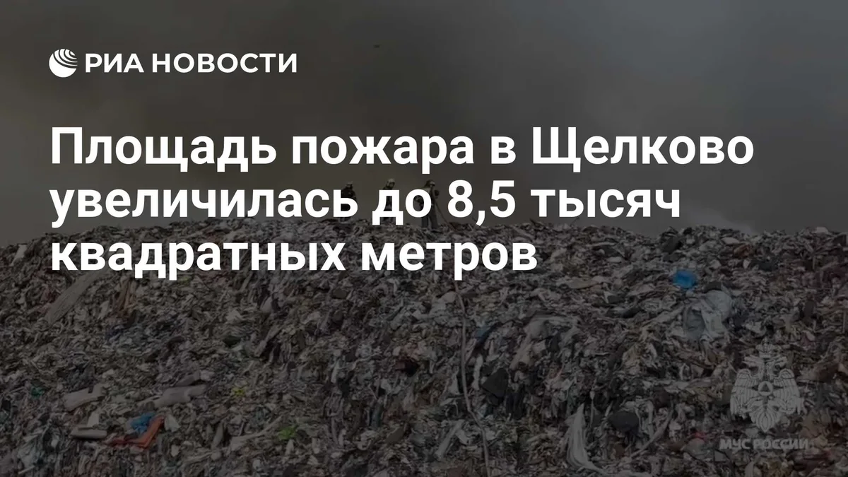 Площадь пожара в Щелково увеличилась до 8,5 тысяч квадратных метров