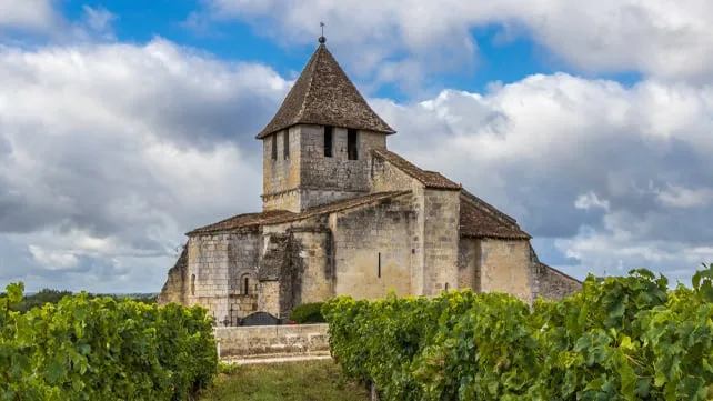 Una finca de Francia busca trabajadores para un viñedo: ofrece alojamiento gratis y sueldo en euros