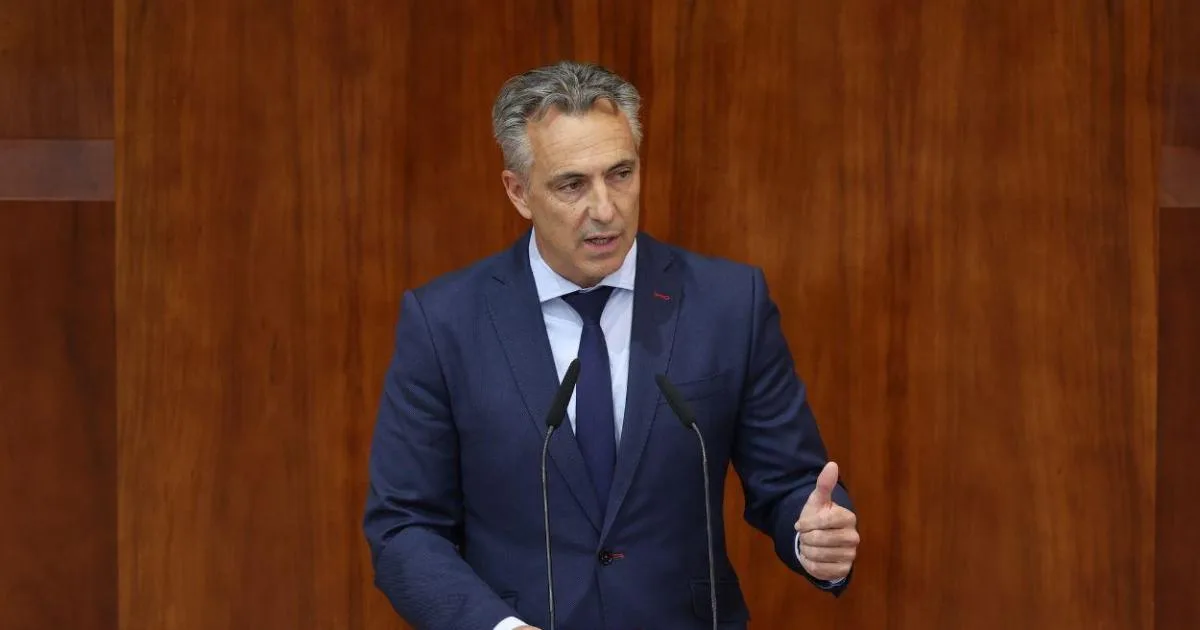 El consejero de Ayuso Carlos Novillo justifica con una expresión racista su gestión de los incendios: "Hubiera sido…"