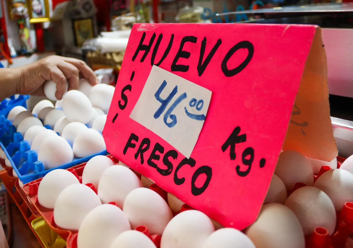 Precio del huevo se dispara 7.92% en agosto y registra uno de sus mayores aumentos en 20 años, INEGI