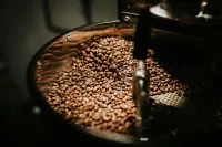 Exportações de café do Brasil crescem 9,9% em julho