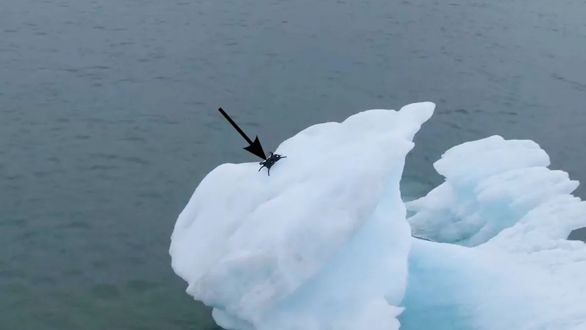 El dron que se esconde en las paredes de los glaciares para la vigilar el ártico