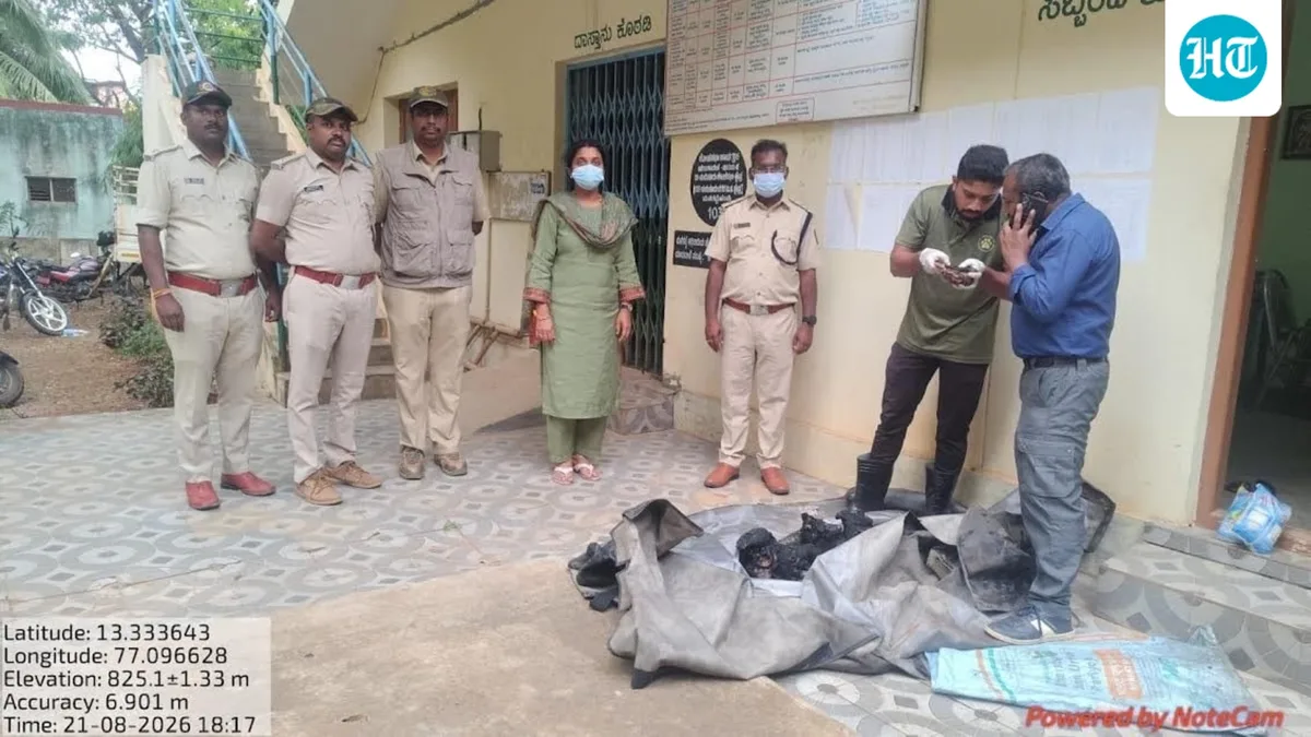 Leopard burnt alive after getting trapped in farm snare in Karnataka, 3 arrested