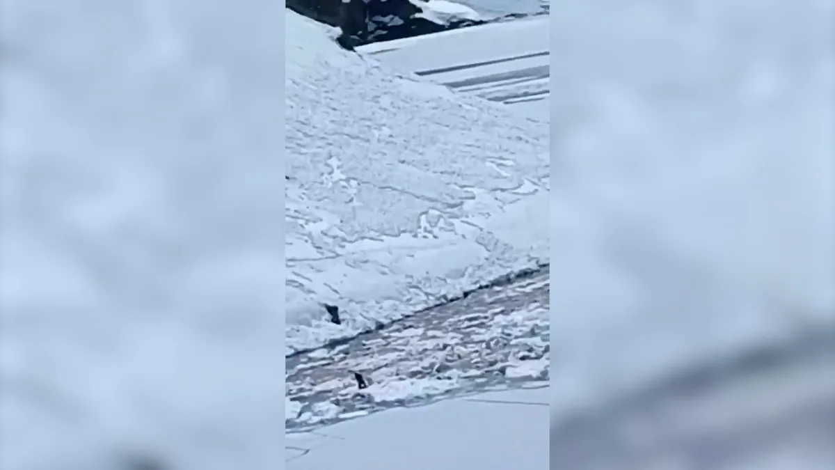 Tragedia en la cordillera de Los Andes: al menos cuatro muertos tras una avalancha en un centro de esquí en Chile