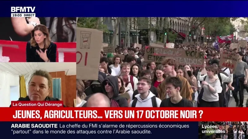"Il est plus que temps": la porte-parole de la Confédération paysanne appelle à la convergence des luttes le 17 octobre