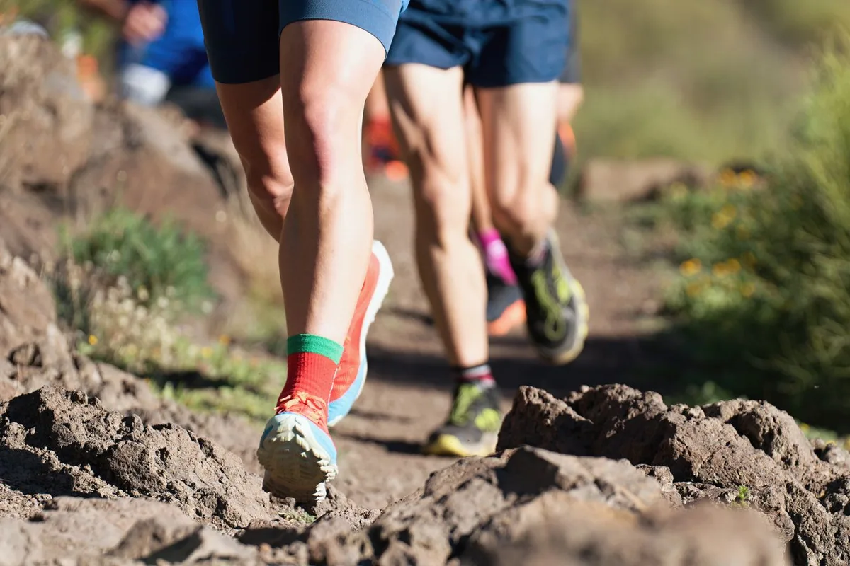 Ультрамарафон Riekkalansaari Ultra Trail пройдёт в Карелии 21 и 22 августа