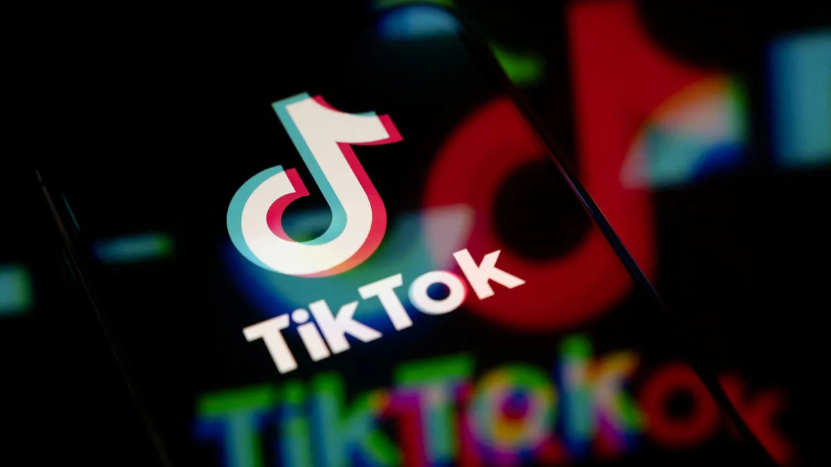 "Calife Carotte": inoffensives au premier abord, les vidéos de fruits et légumes générées par IA sur Tiktok contribuent à banaliser la violence et peuvent pousser les utilisateurs à se radicaliser