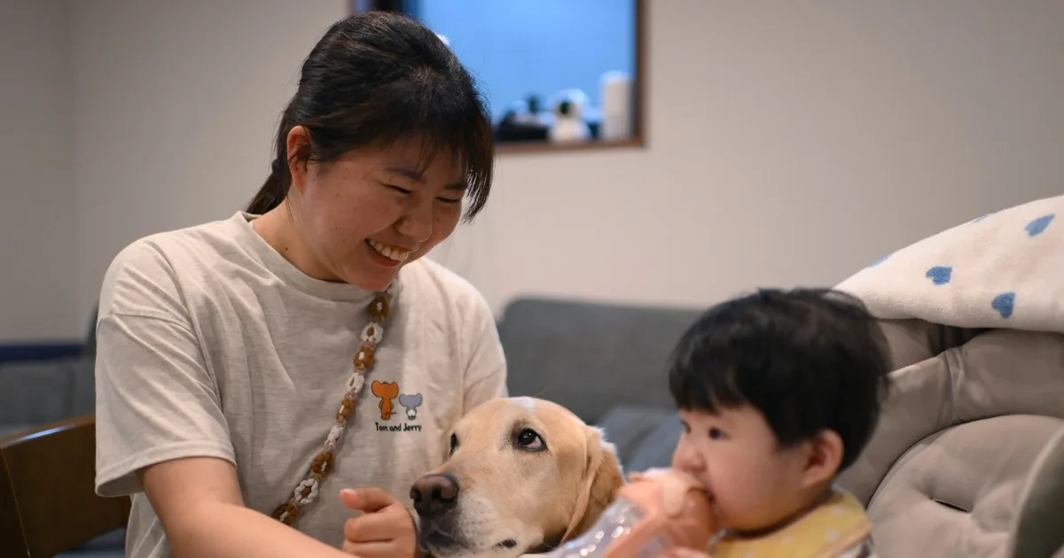 「ポノはお兄ちゃん」 難病ママ支える介助犬、育児はじめました