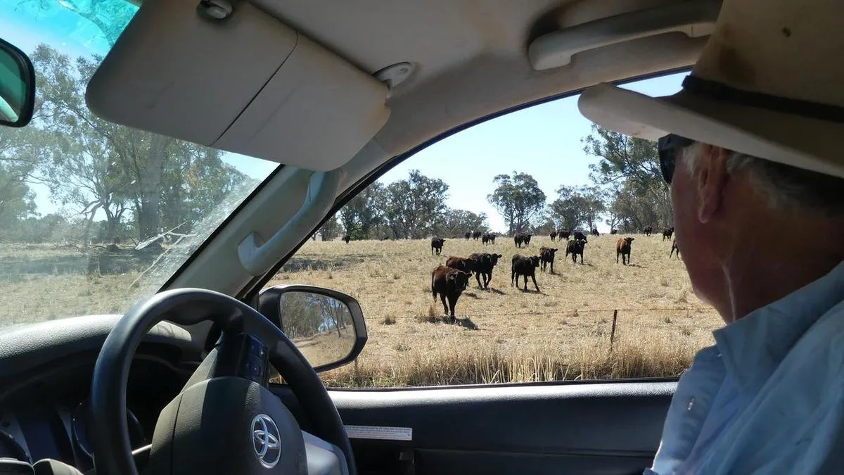 Labor seeks to boost fuel security from farming waste