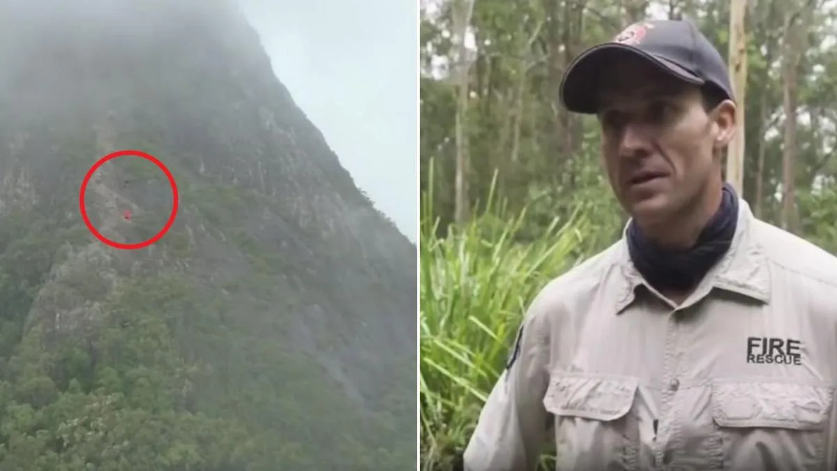 Inside Queensland’s complex mountain rescues as experts reveal what it takes to bring injured hikers home