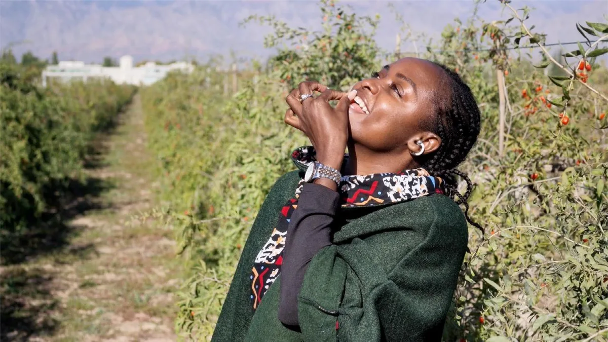 Foreign diplomats try goji berries to 'become Chinese'