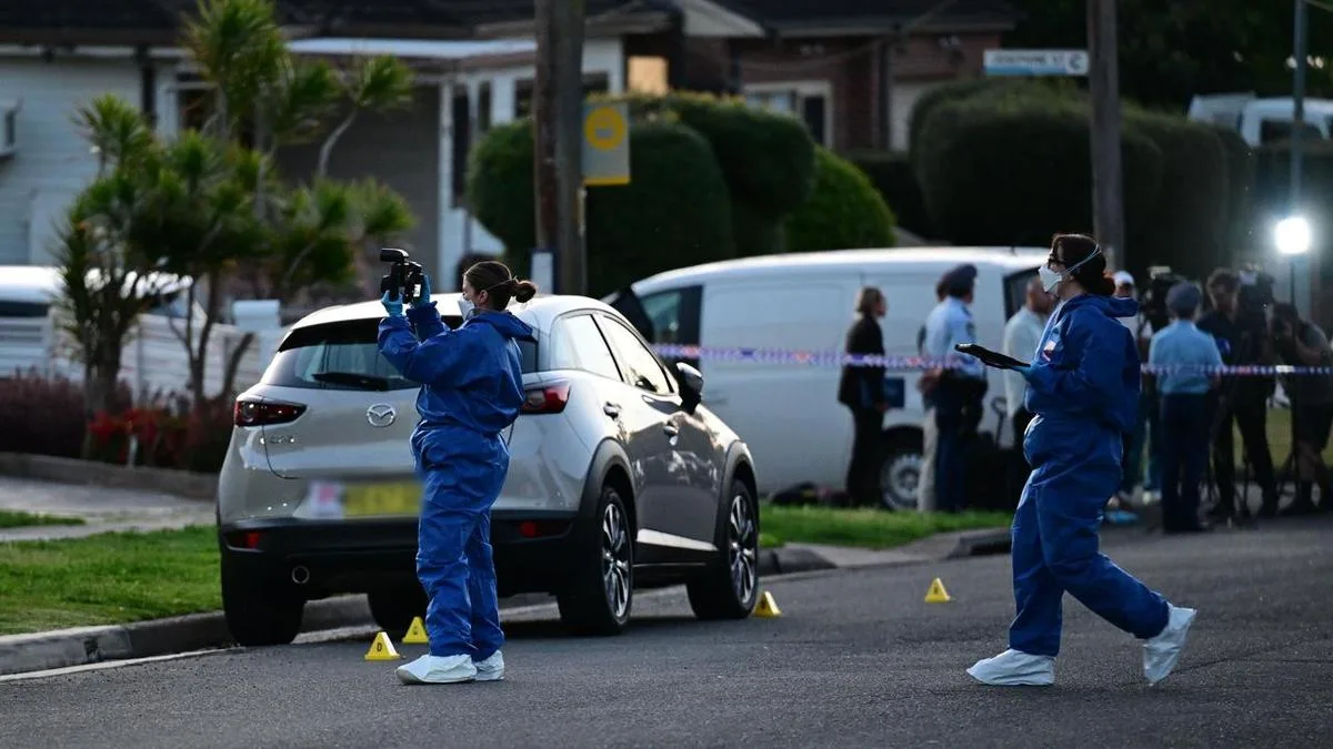 Teen drone operator charged over mistaken ID shooting