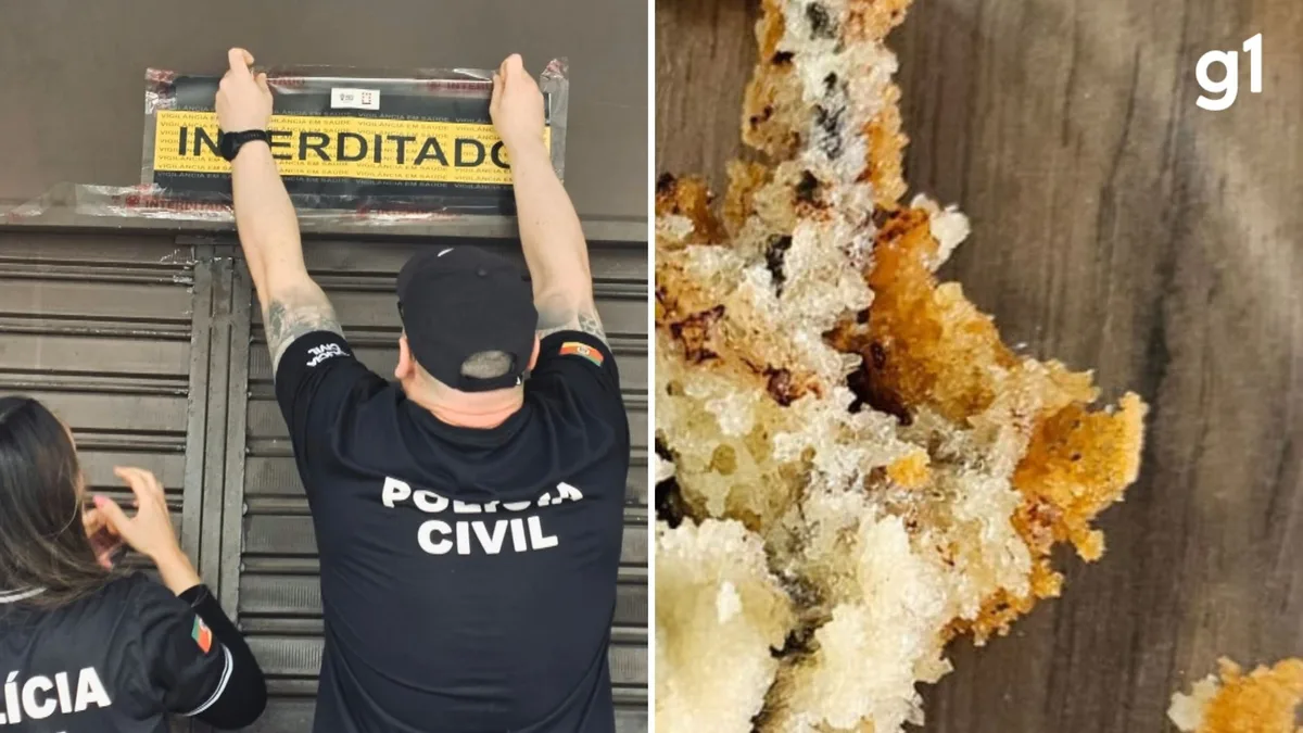 Rato dentro de bolo: entenda o que é crime contra as relações de consumo e qual pode ser a pena de dona de confeitaria em caso de condenação