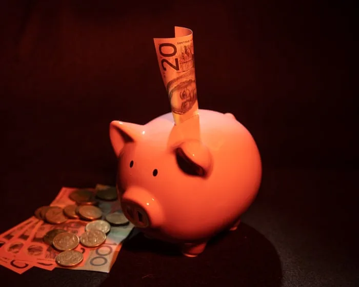 Pauline Hanson is targeting superannuation. Should it be easier to access your savings?