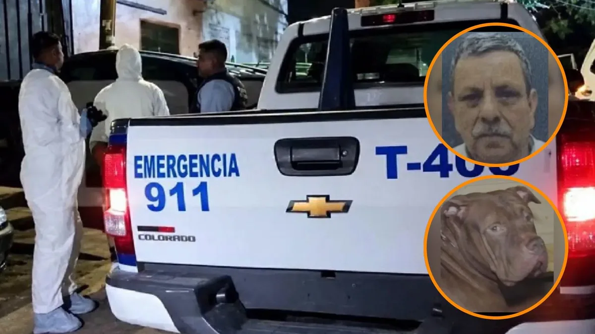 Pitbull mata a su dueño tras atacarlo dos veces en la capital de Honduras ¿Qué pasará con el perro?