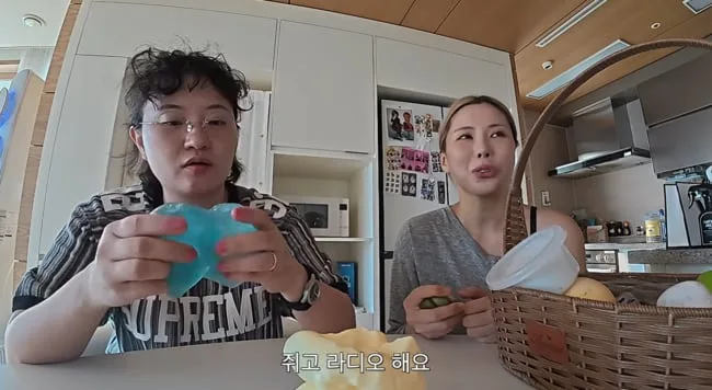 가비, 그야말로 MZ 디제이 "말랑이 쥐고 라디오 진행해" ('원지의 하루')