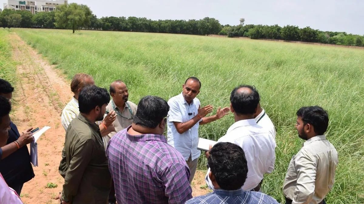 CAZRI cultivates economic growth in Rajasthan’s arid landscape
